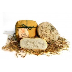 FORMAGGIO PECORINO CACIO FAENUM