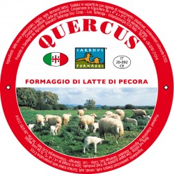 FORMAGGIO PECORINO SARDO QUERCUS 3,2kg